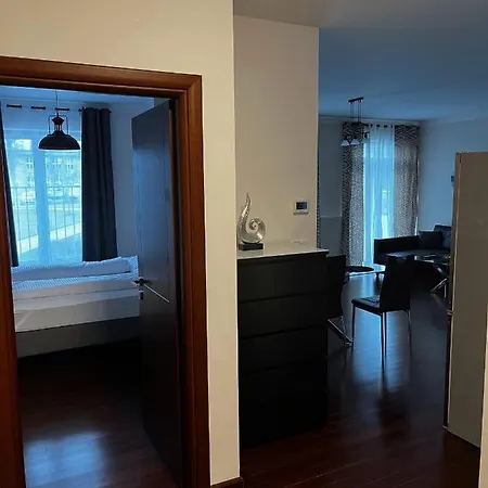Apartment Moser Wellness Lux Karlovy Vary